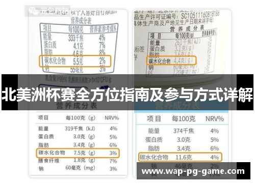 北美洲杯赛全方位指南及参与方式详解