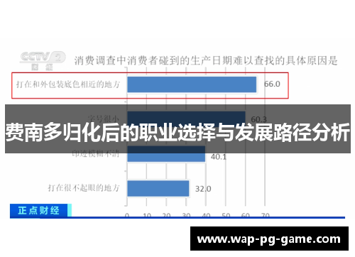 费南多归化后的职业选择与发展路径分析