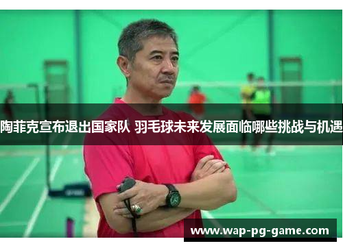 陶菲克宣布退出国家队 羽毛球未来发展面临哪些挑战与机遇