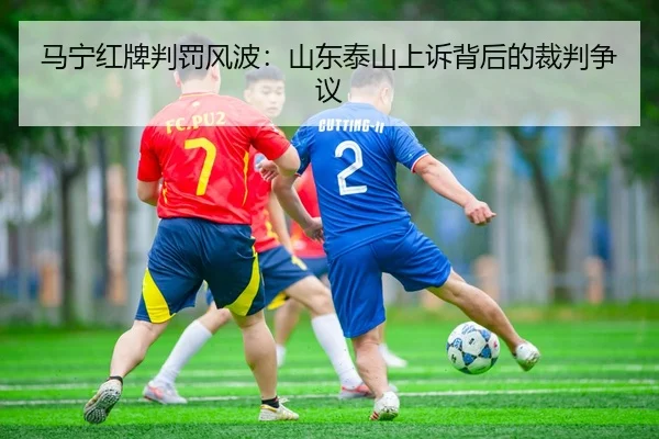 ma-ning-hong-pai-pan-fa-feng-bo-shan-dong-tai-shan-shang-su-bei-hou-de-cai-pan-zheng-yi-3-749.jpg
