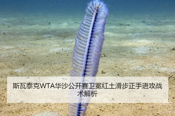 斯瓦泰克WTA华沙公开赛卫冕红土滑步正手进攻战术解析